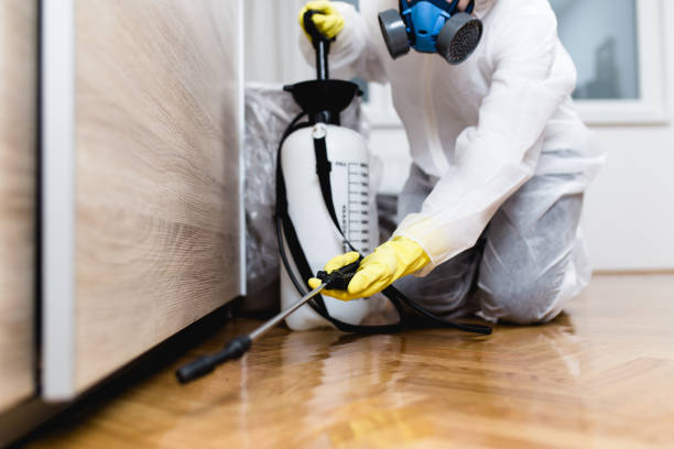  Livingston, AL Pest Control Pros