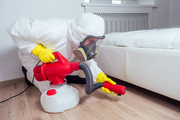 Best Best Pest Control Companies  in Livingston, AL