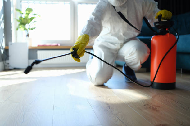 Best Mosquito Control Services  in Livingston, AL