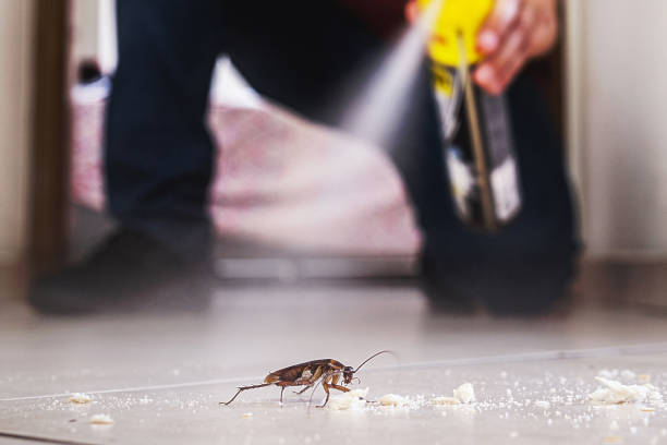 Best Pest Control Near Me  in Livingston, AL