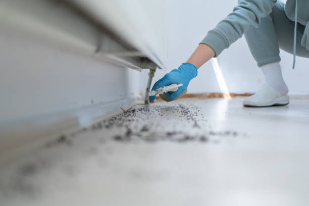 Best Pest Control for Homes  in Livingston, AL